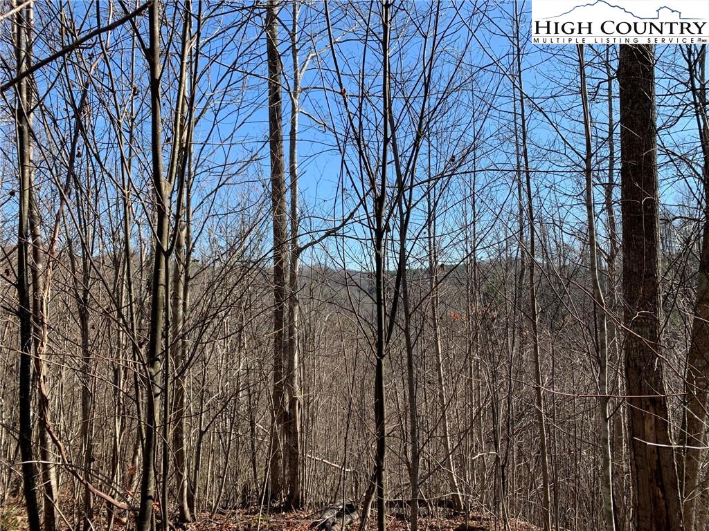 MLS 227054 2381 Roaring Fork Road, Creston, NC 28615