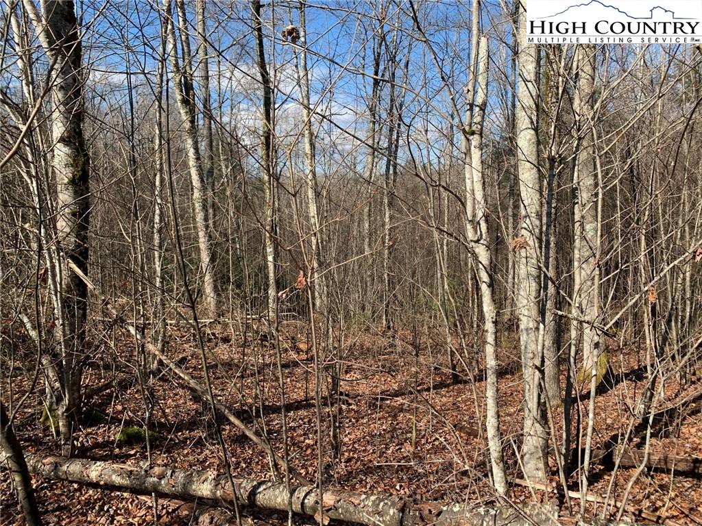 MLS 227054 2381 Roaring Fork Road, Creston, NC 28615