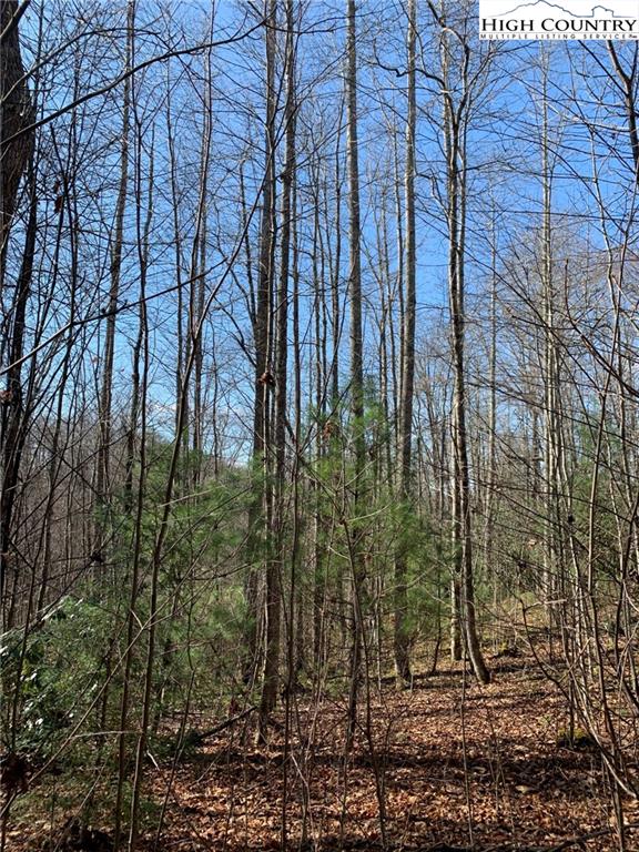 MLS 227054 2381 Roaring Fork Road, Creston, NC 28615