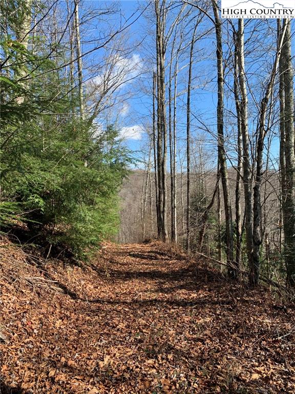 MLS 227054 2381 Roaring Fork Road, Creston, NC 28615