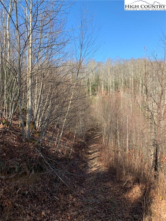 MLS 227054 2381 Roaring Fork Road, Creston, NC 28615