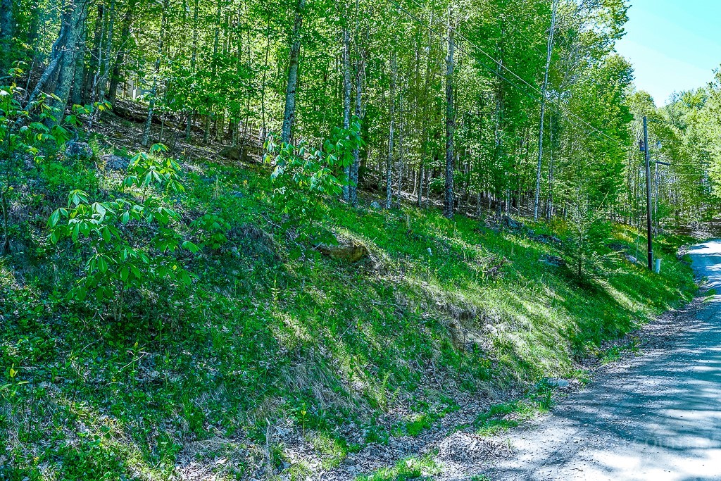 241 Lakeledge Road
