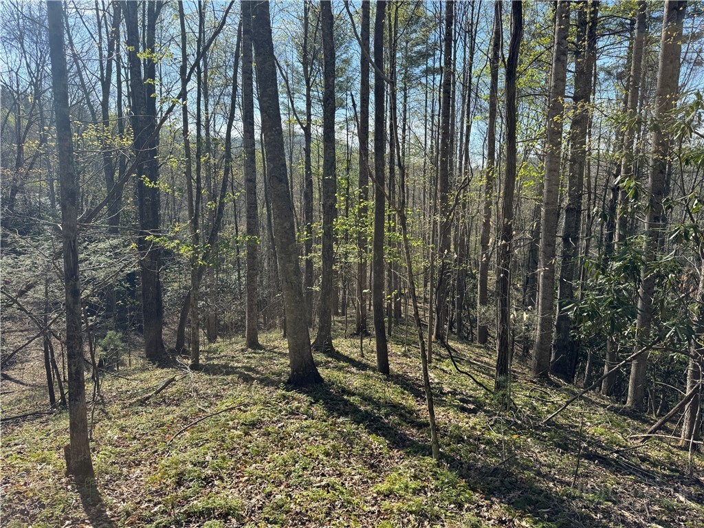 2438 Kellersville Road