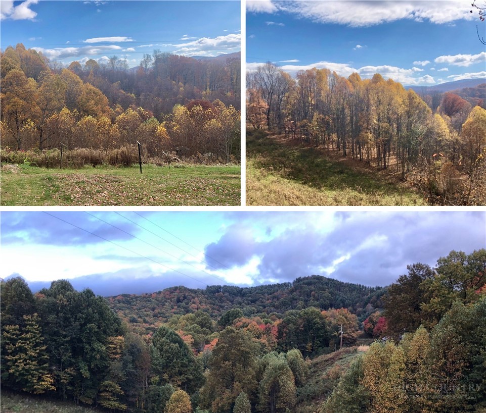 244 Flat Springs Road