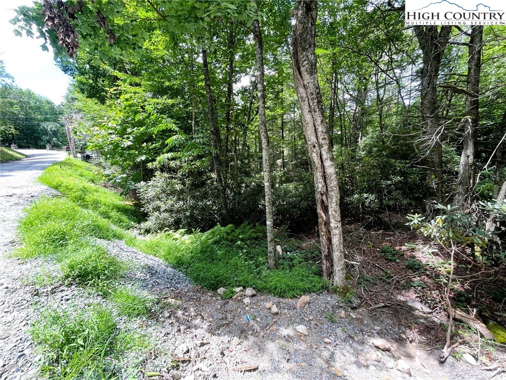 252 Greenbriar Road