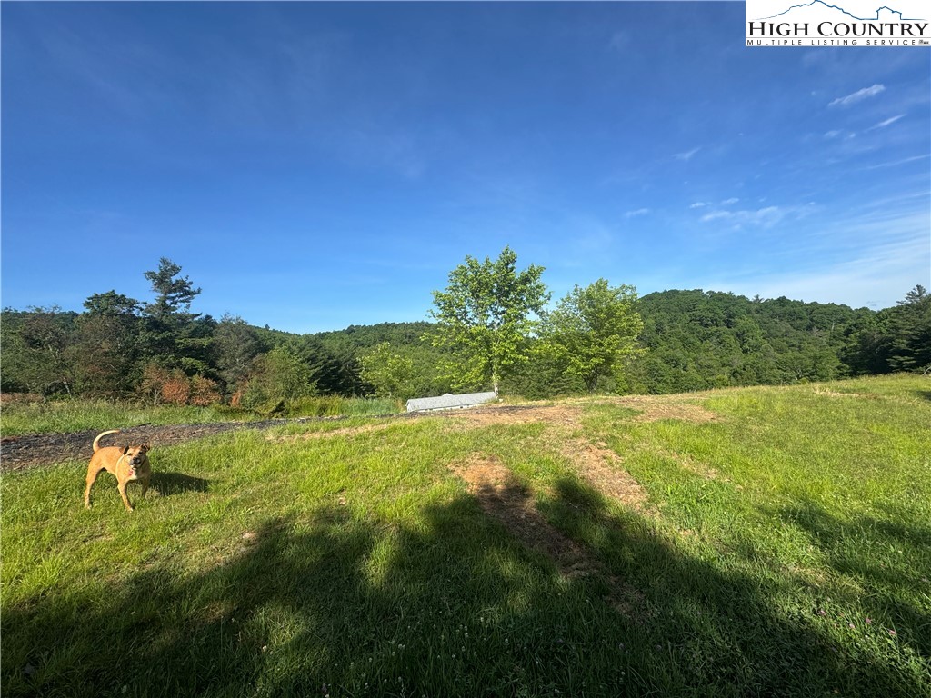 2553 Phillips Gap Road