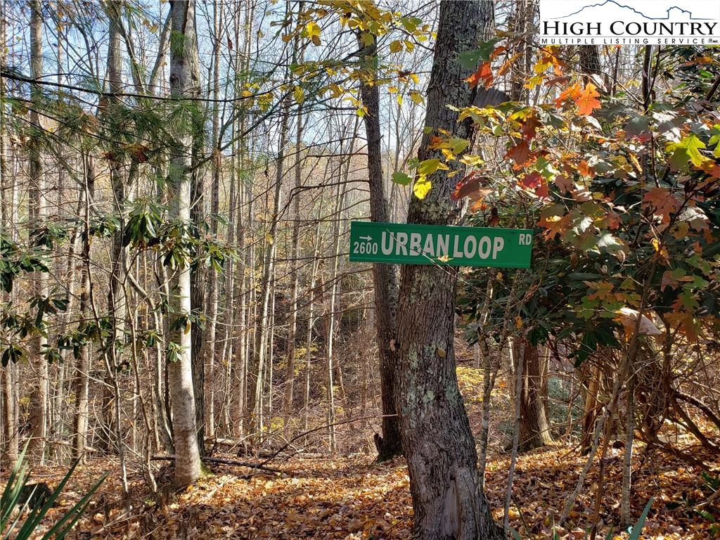 MLS 226762 2557 Falls Road, Elk Creek, VA 24326