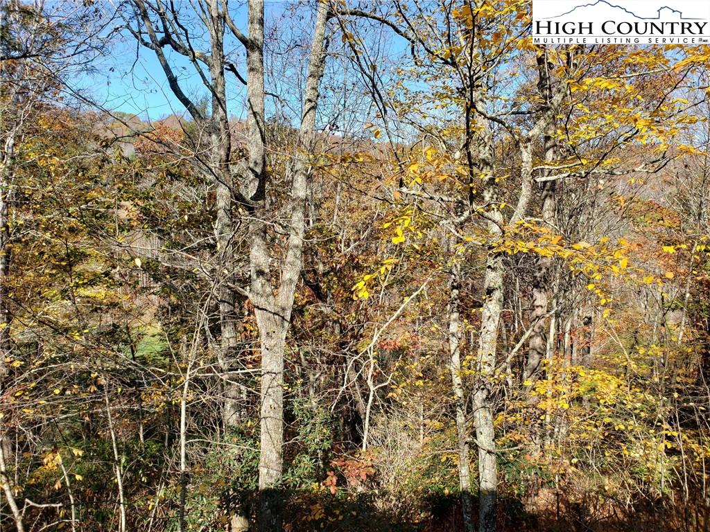 MLS 226762 2557 Falls Road, Elk Creek, VA 24326