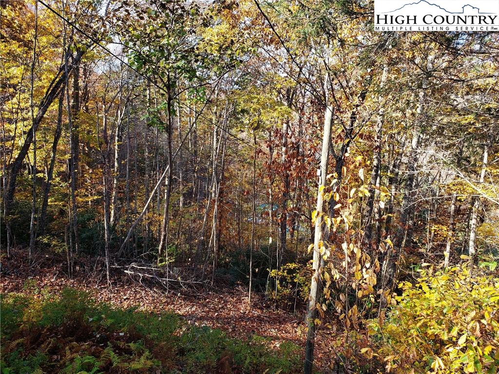 MLS 226762 2557 Falls Road, Elk Creek, VA 24326