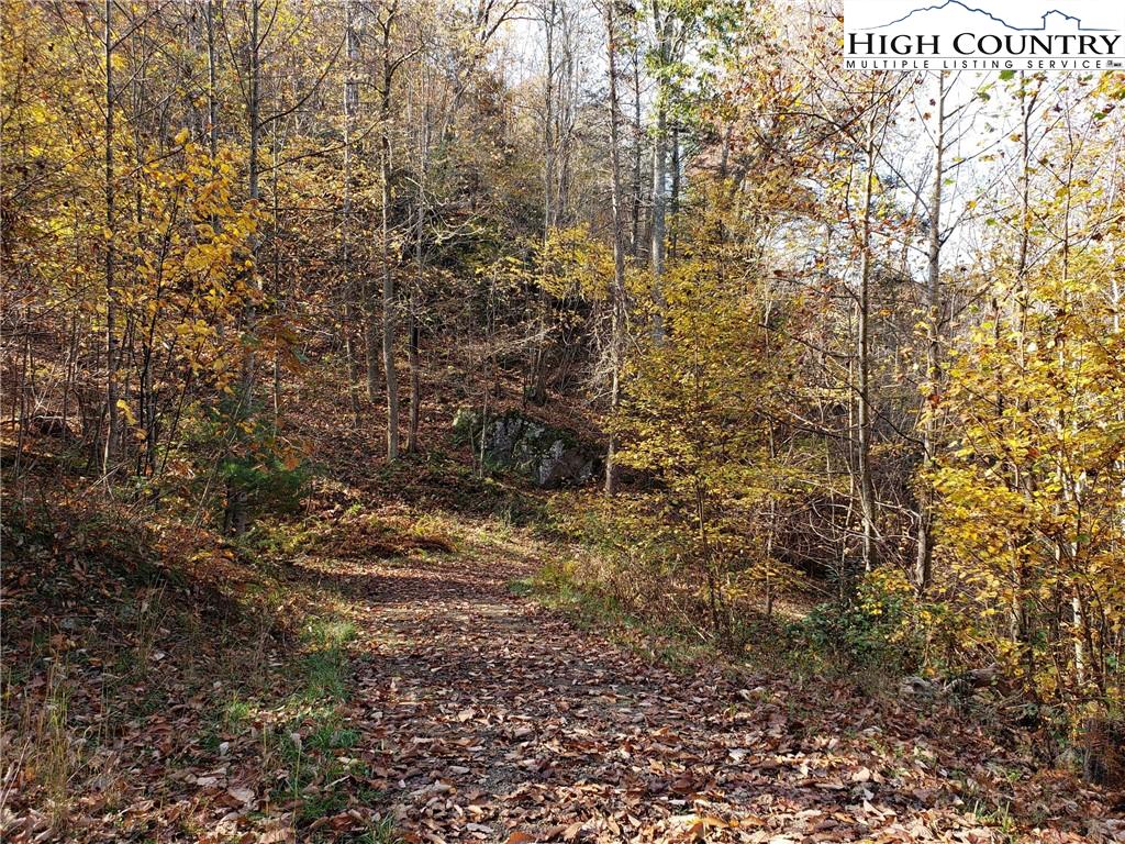 MLS 226762 2557 Falls Road, Elk Creek, VA 24326