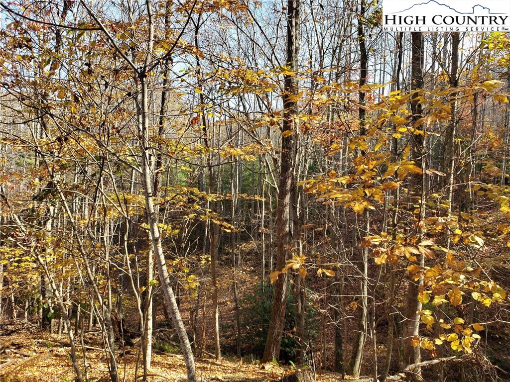 MLS 226762 2557 Falls Road, Elk Creek, VA 24326