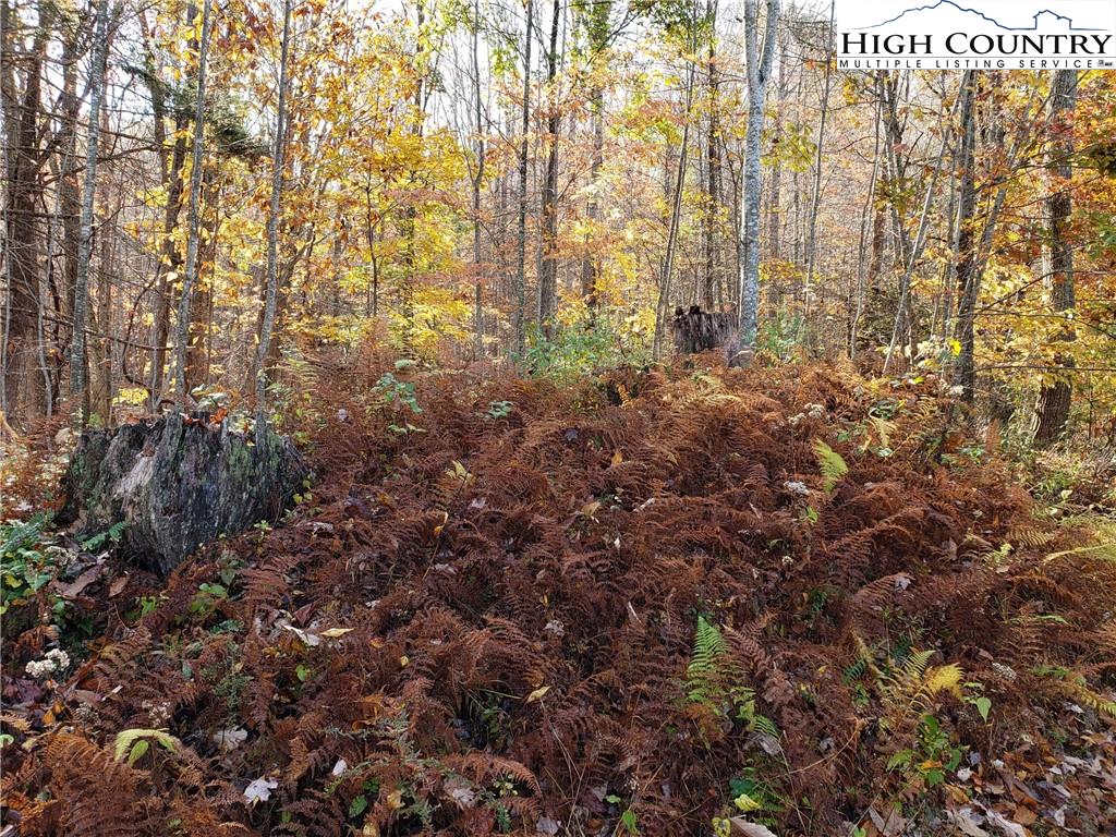 MLS 226762 2557 Falls Road, Elk Creek, VA 24326