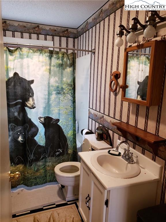 MLS 226762 2557 Falls Road, Elk Creek, VA 24326