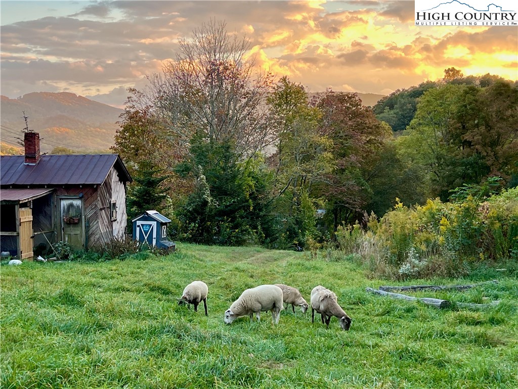 261 Tumbling Brook Drive