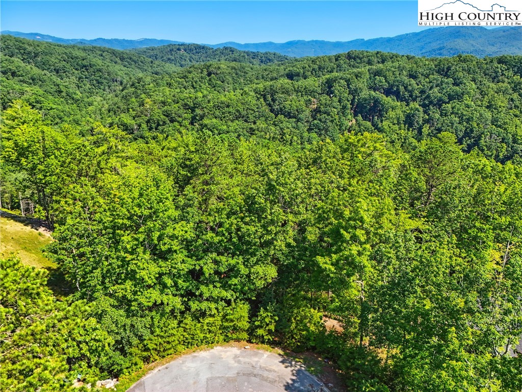 288 Ninebark Road