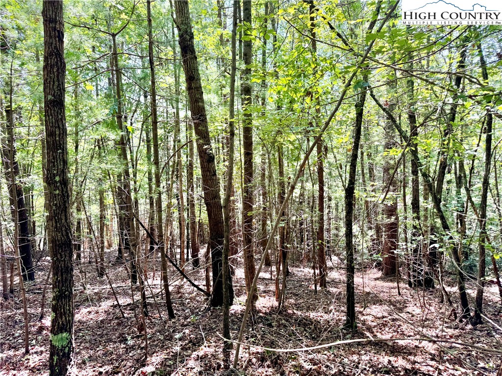 3.31 acres, Lot 37 Poplar Bluff Drive