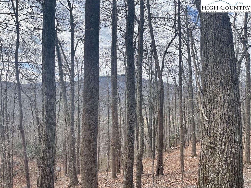 3 Jackson Ridge Road