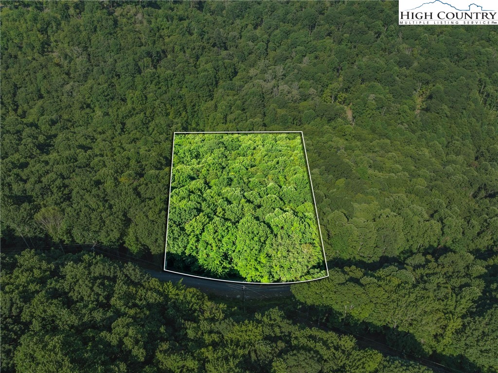 303 Locust Ridge Road