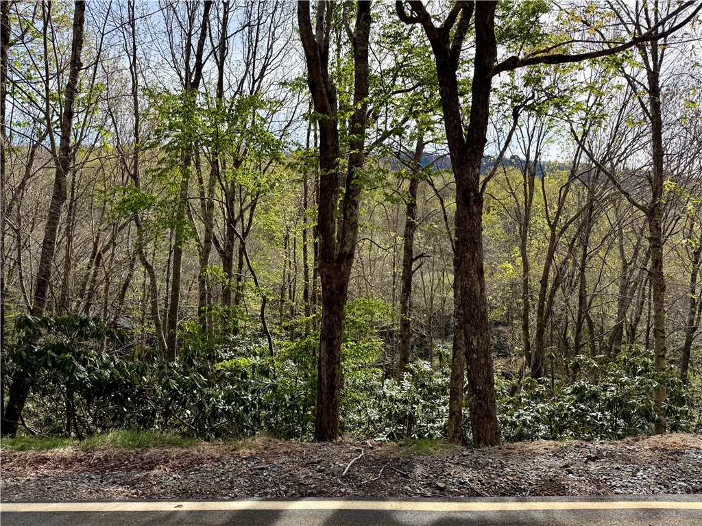 308 Overbrook Trail