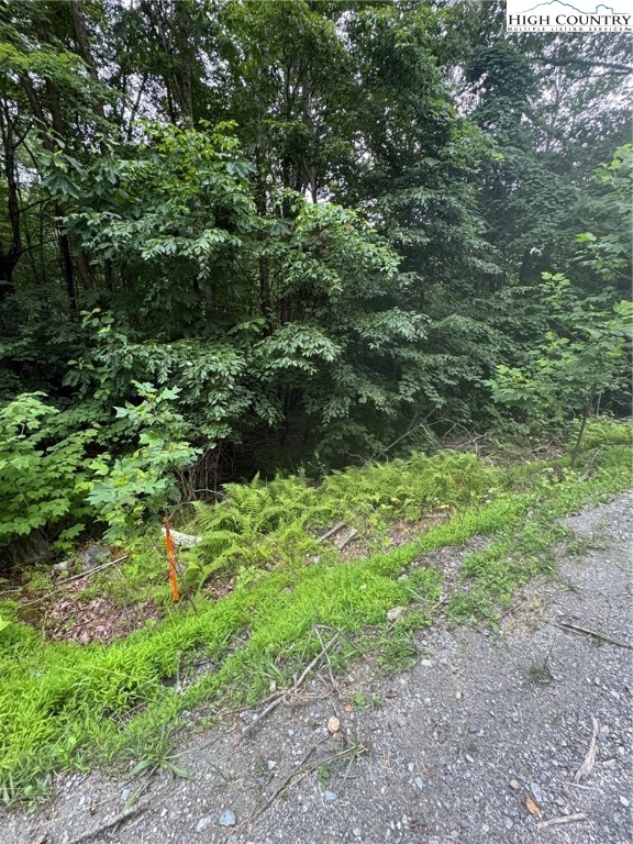327 Locust Ridge