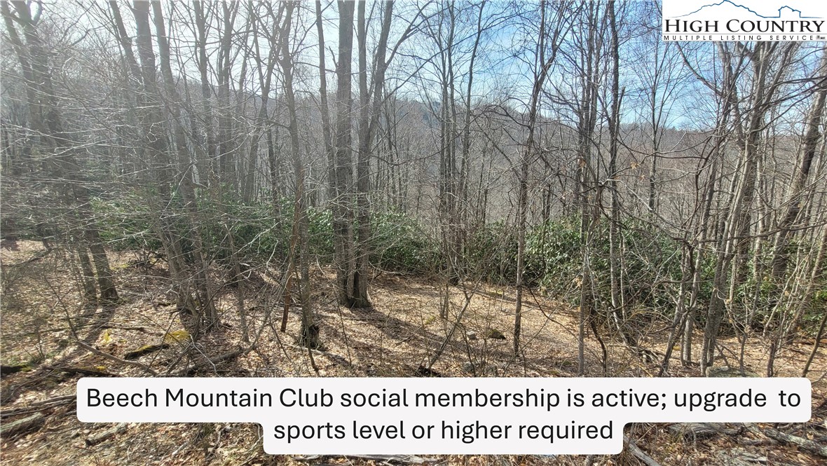 327 Locust Ridge Road