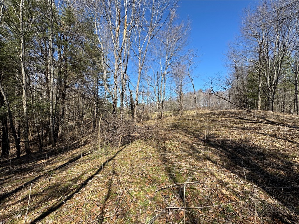4 +/- Acres Hwy 194