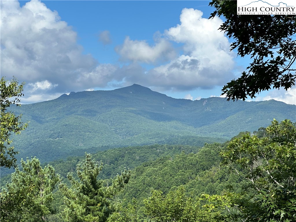 412 Spruce Pine Trail