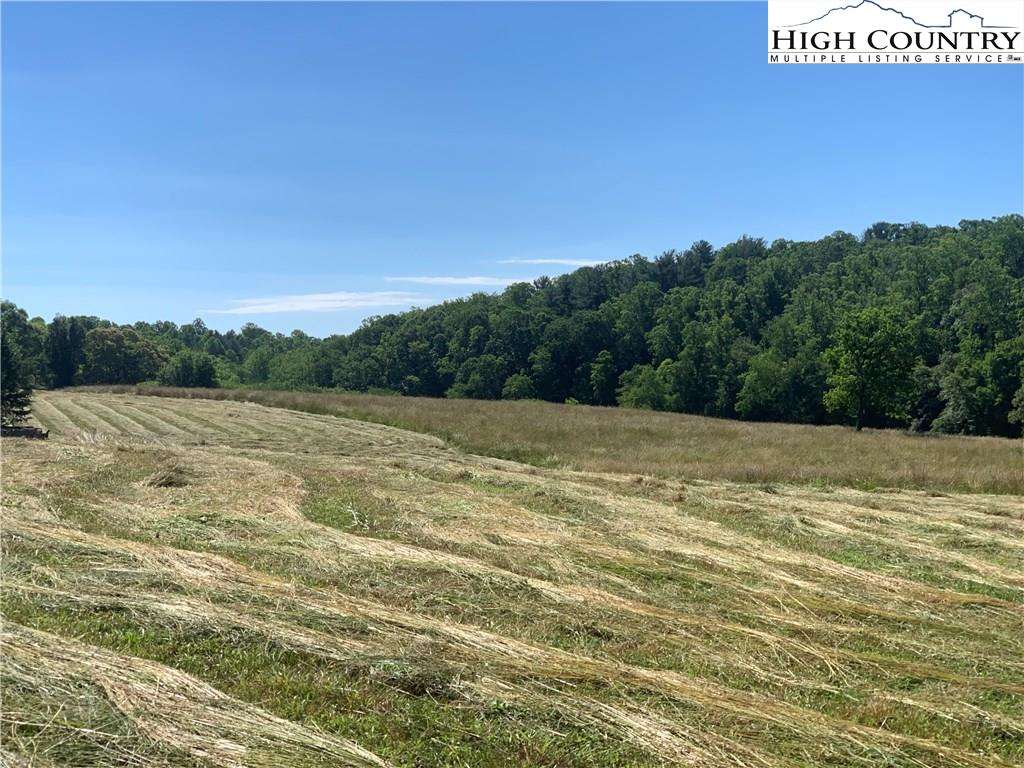 MLS 222509 00 Sparta Highway, North Wilkesboro, NC 28659