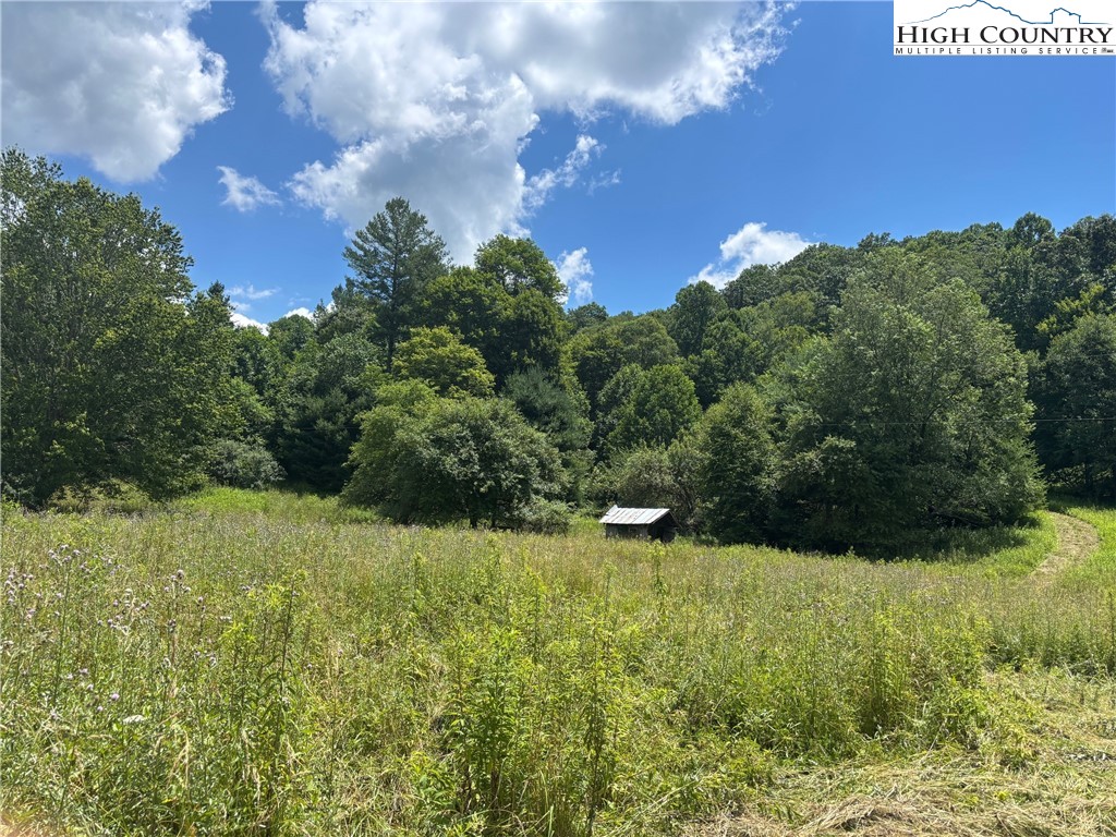 460 Grubbs Chapel Road