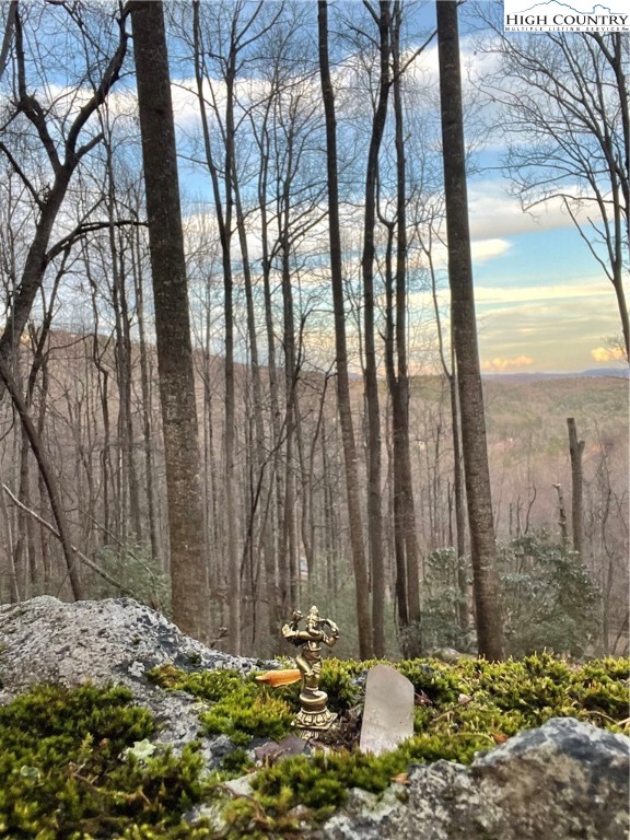 48 Wildcat Wilderness Parkway