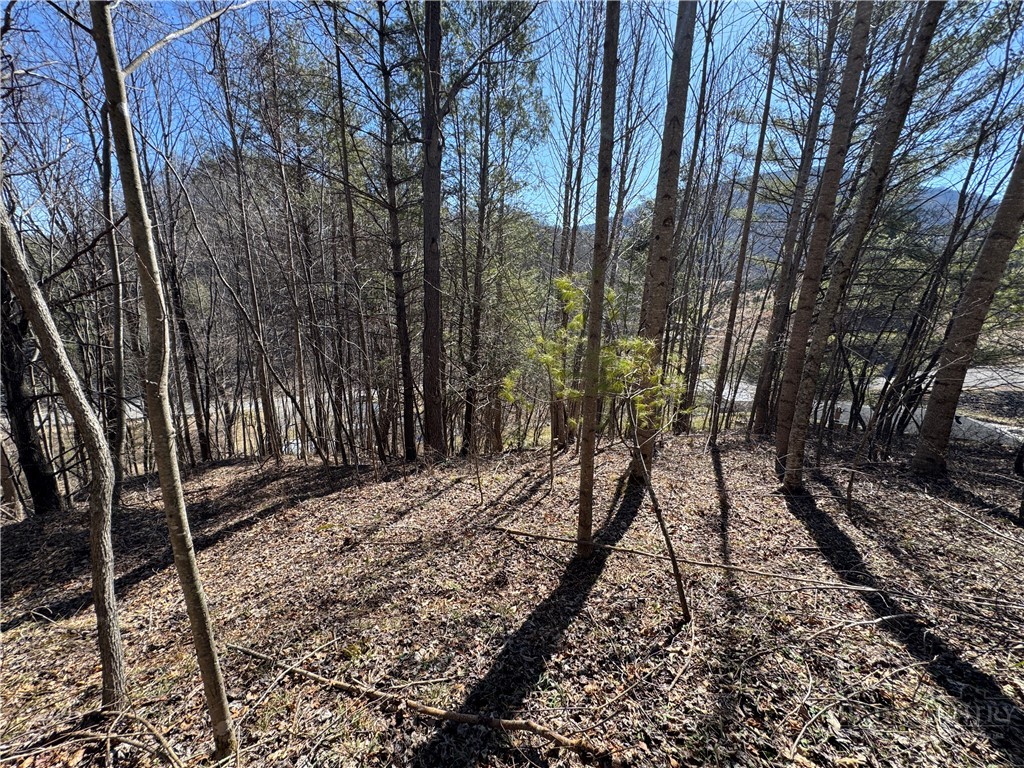 5.33 Acres Charlie King Road