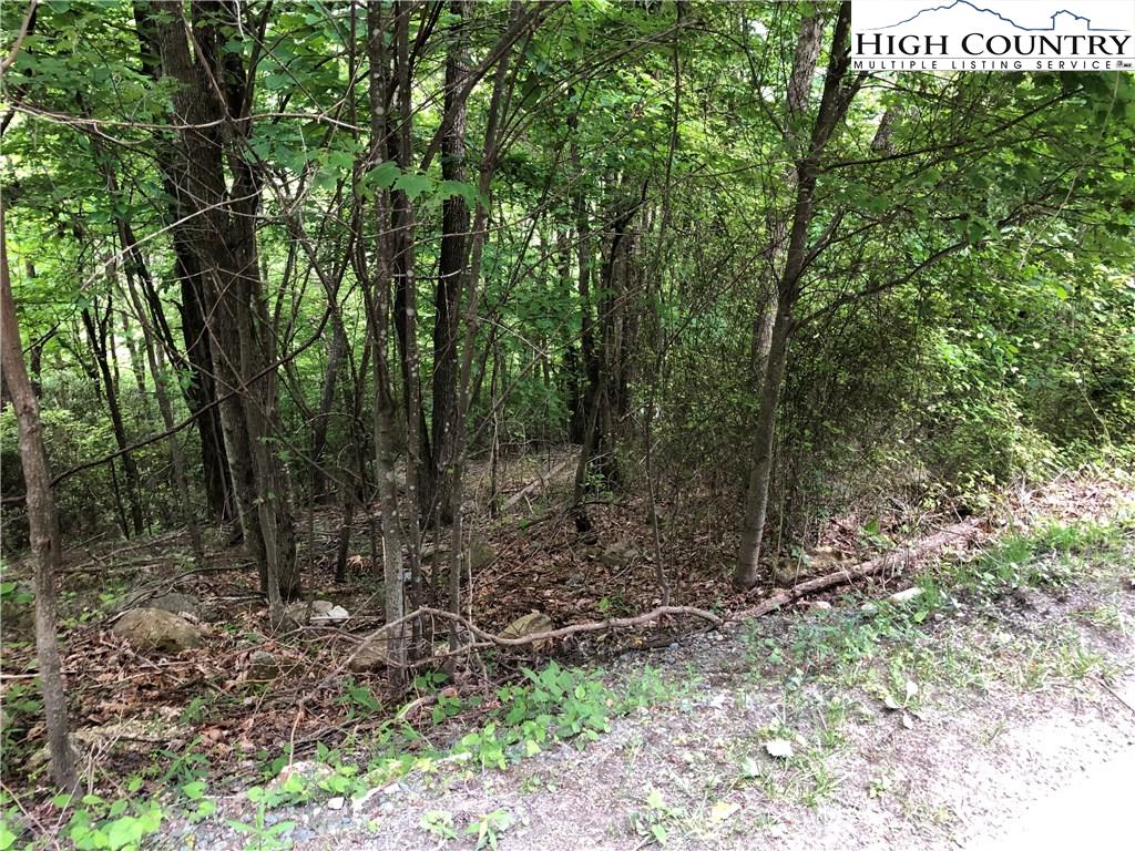 MLS 222677 500 Pinnacle Ridge Road, Beech Mountain, NC 28604