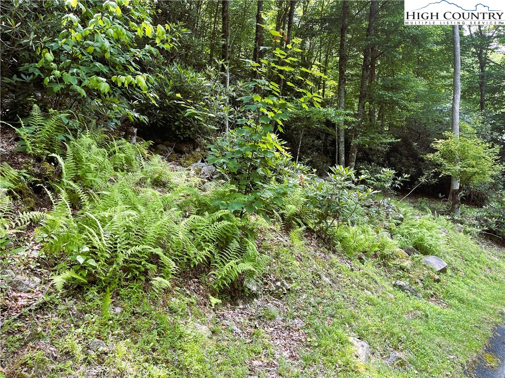 523 Pinnacle Ridge Road