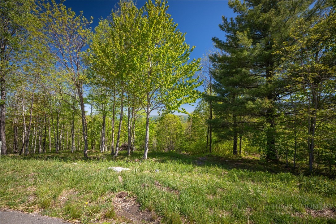 53 Eagle Creek Trail