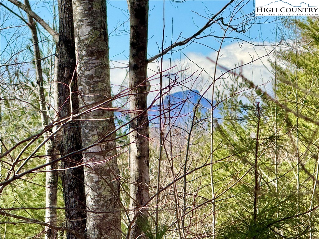 54.2 acres, Lot 837 High Valley Way
