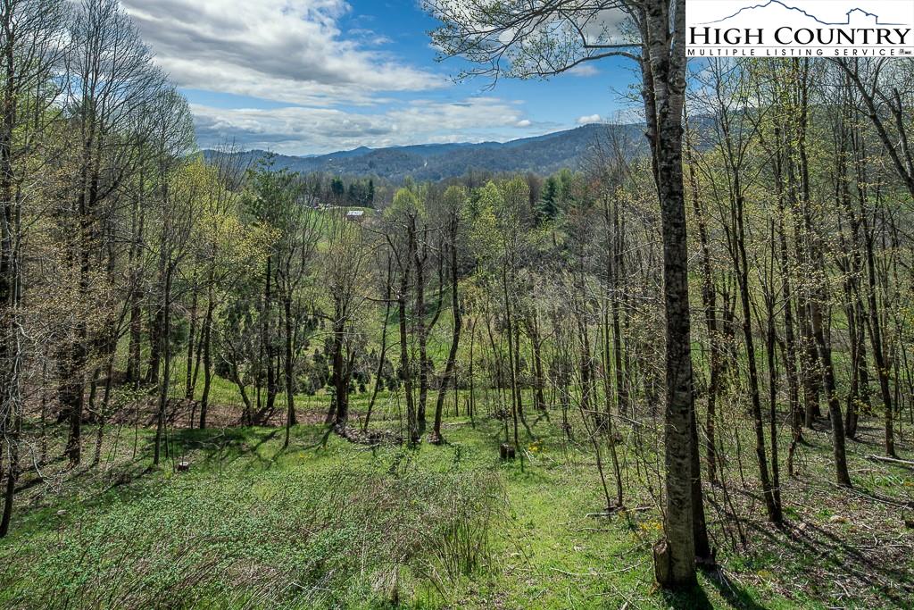 MLS 229946 550 Way, Boone, NC 28607