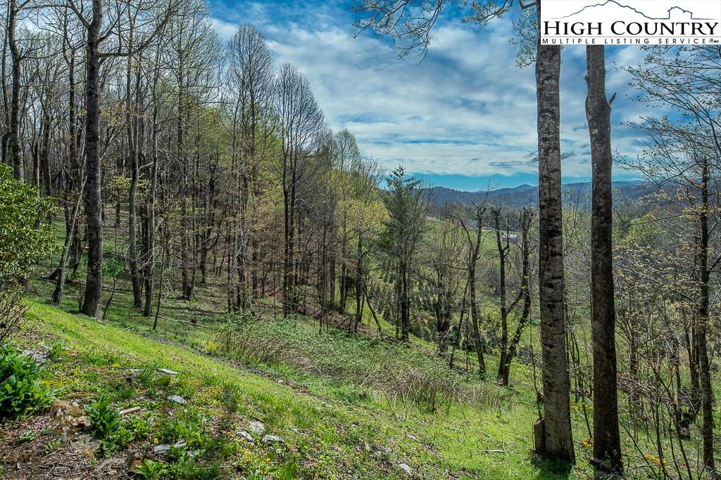 MLS 229946 550 Way, Boone, NC 28607