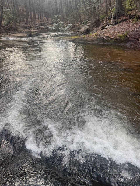 637 Monticello Drive