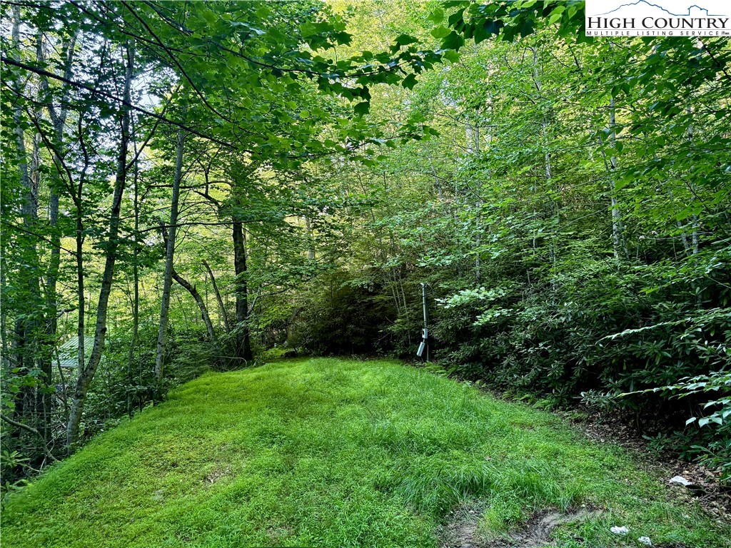 653 Payne Branch Road