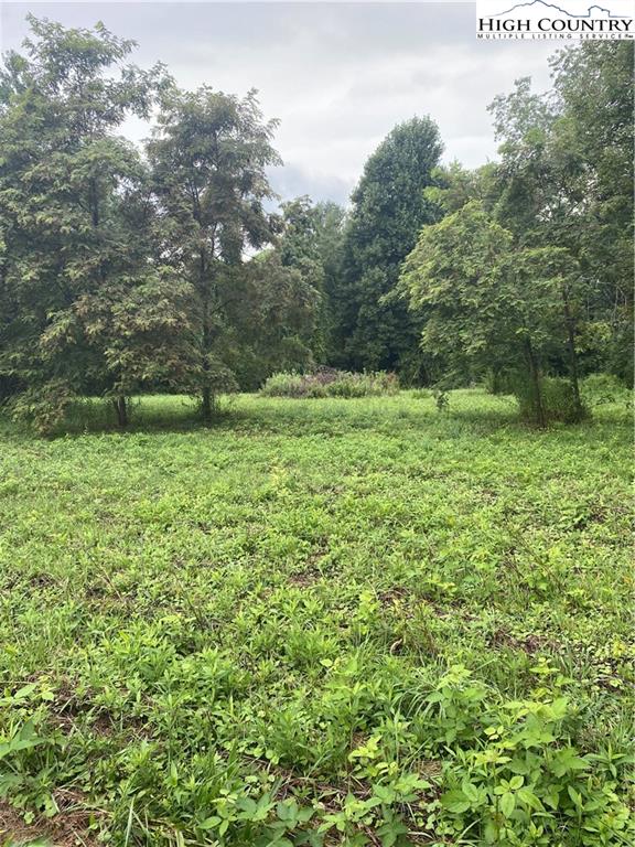 MLS 223512 6743 Glade Valley Road, Ennice, NC 28623