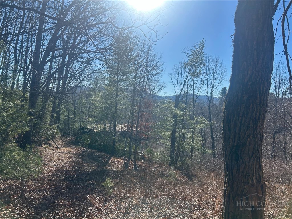 7889 Old Highway 16