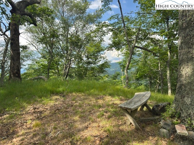 796 Goat Mountain Road