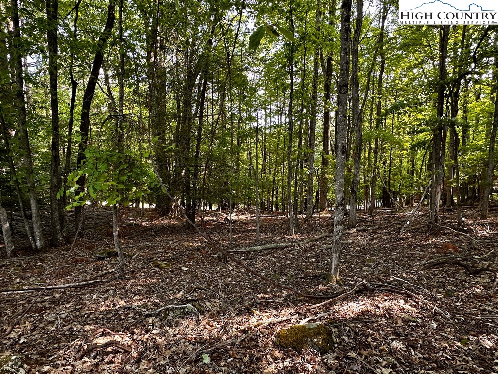 805 Pine Ridge Road