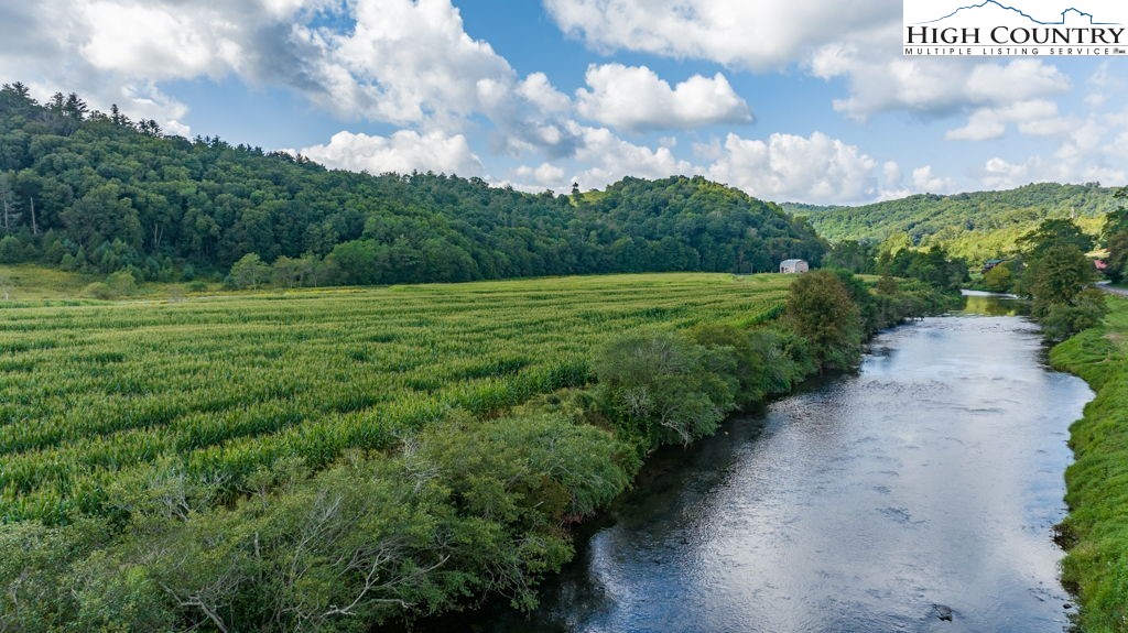 81 Acres Cranberry Springs Road