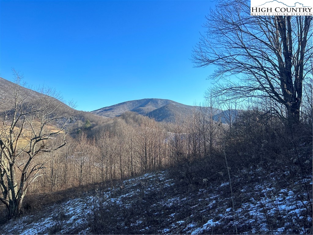 8173 Old US Highway 421