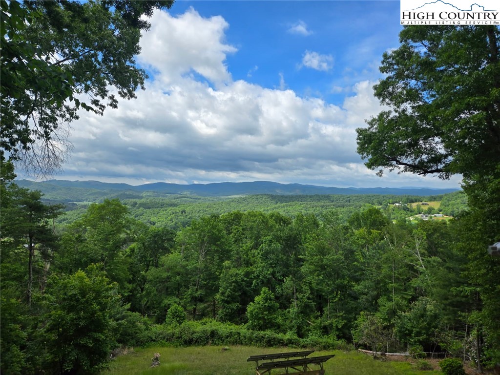 871 Lower Nettle Knob Road