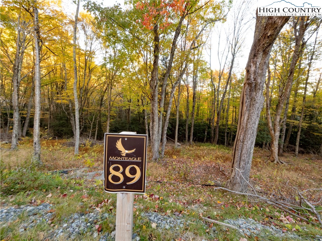 89 Featherwood Trail