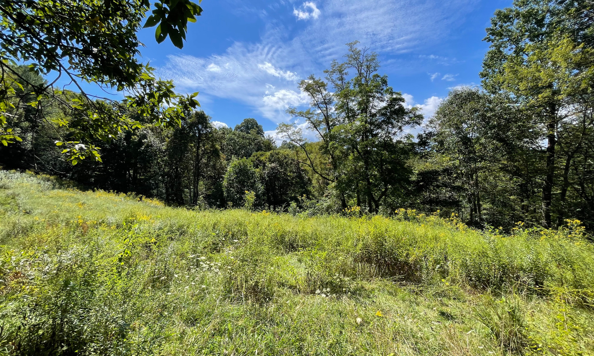 Acreage Long Branch Road Lansing NC