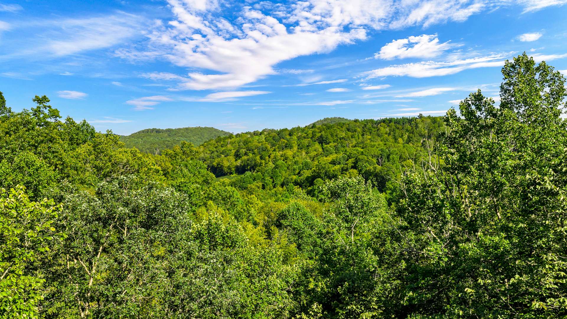 The aerial view from the river to the top of your property.