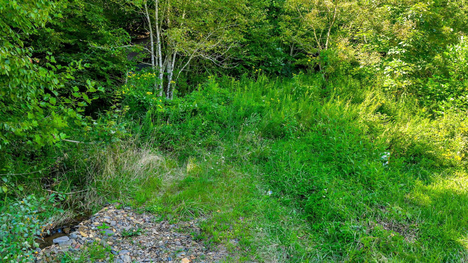 Another image to reflect the ease of access to the property from the state roadway.